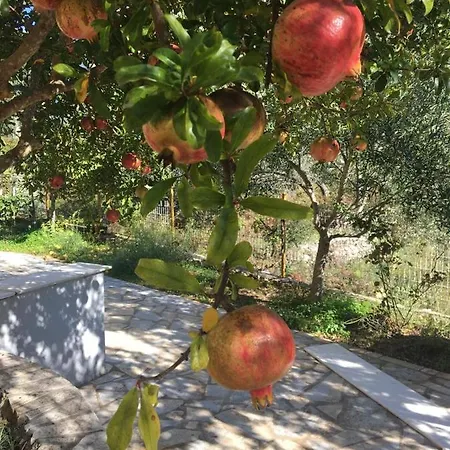 Solive Penzion Himarë