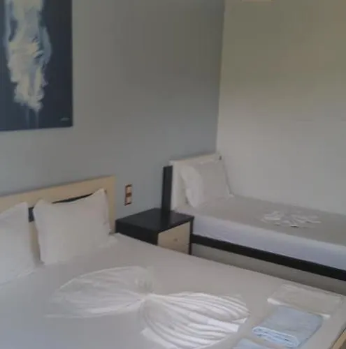 Guest house Solive 3*